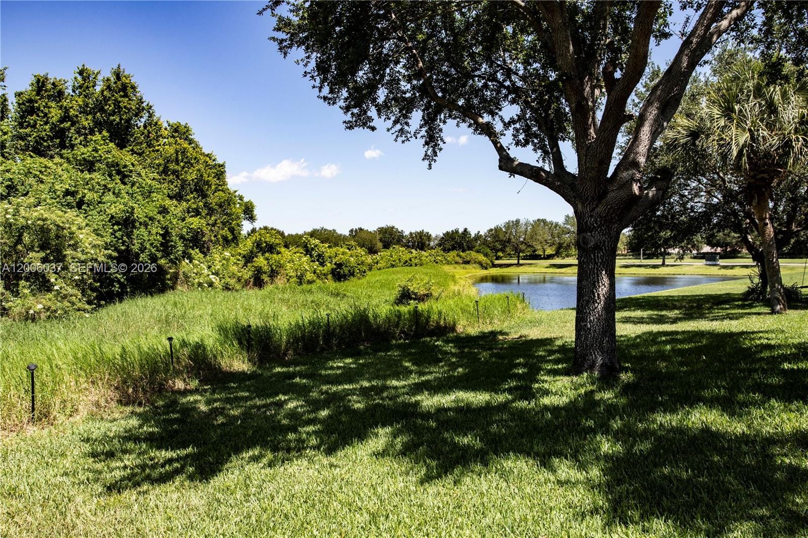 11413 Mountain Bay Drive, Riverview, FL 33569 photo 4