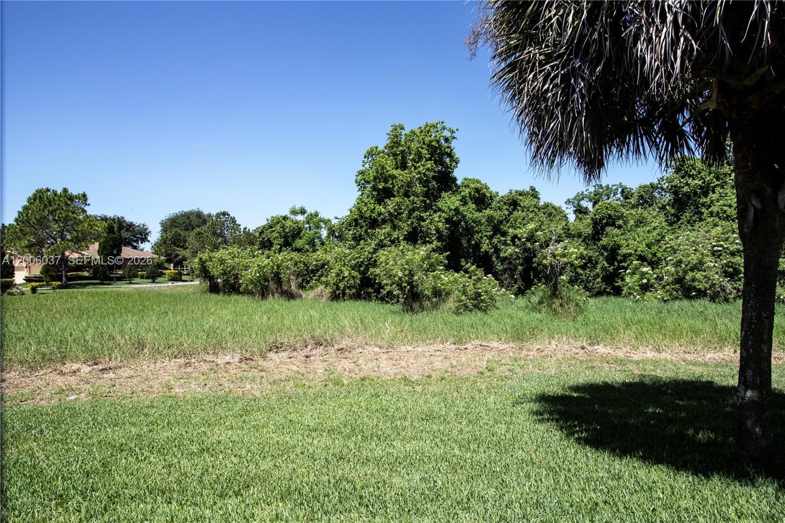 11413 Mountain Bay Drive, Riverview, FL 33569 photo 5
