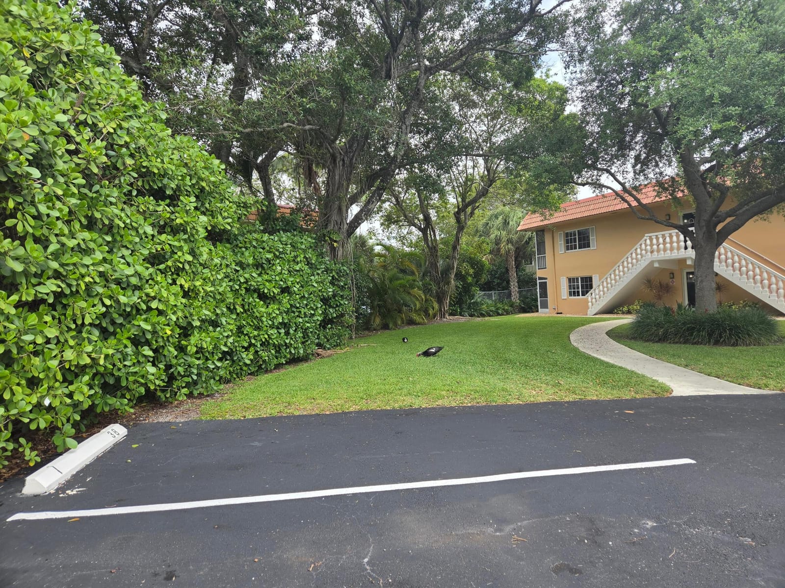 1951 NE 2nd Avenue 104i, Wilton Manors, FL 33305 photo 15