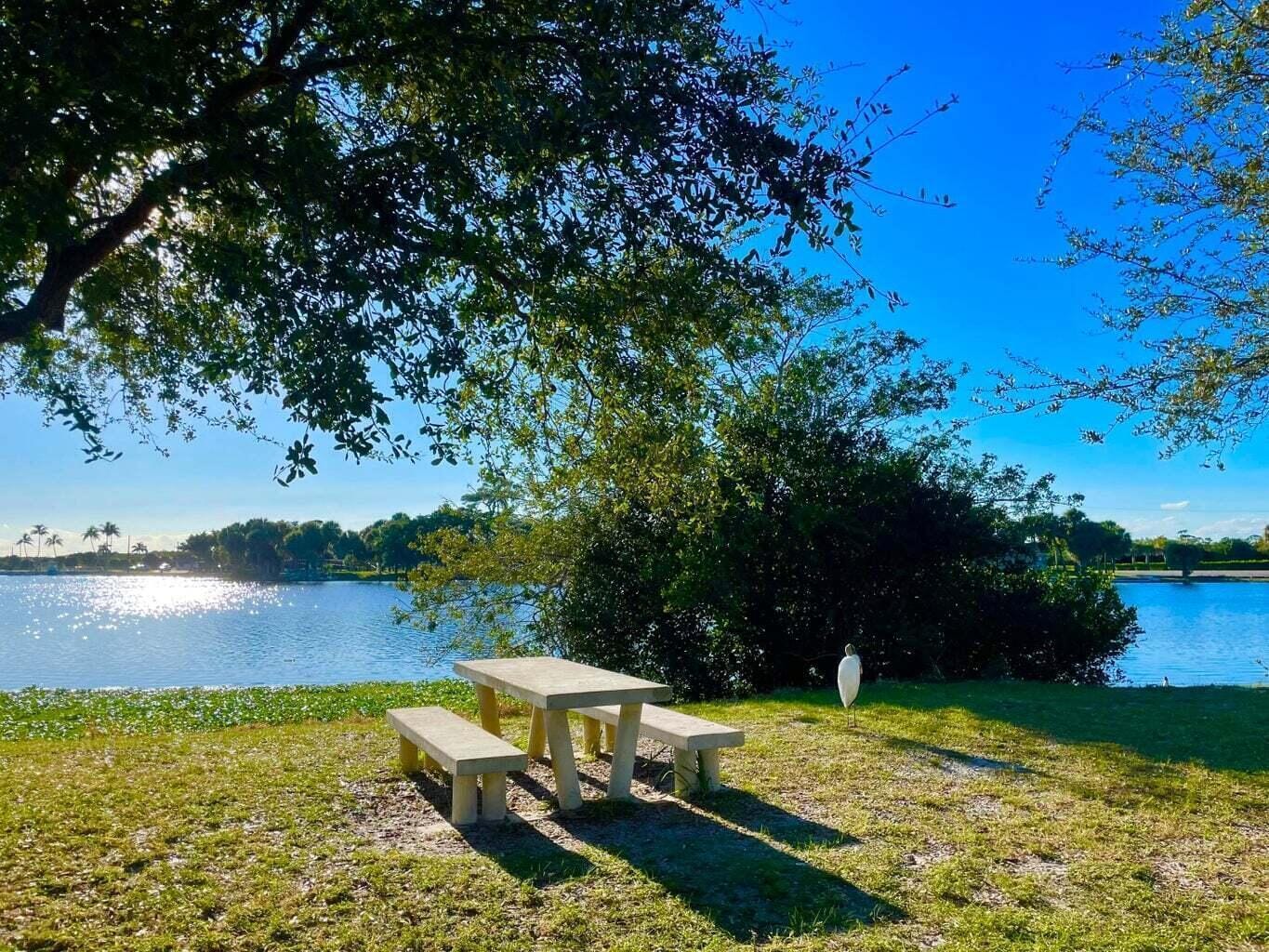 2880 Lake Osborne Drive 205, Lake Worth Beach, FL 33461 photo 28