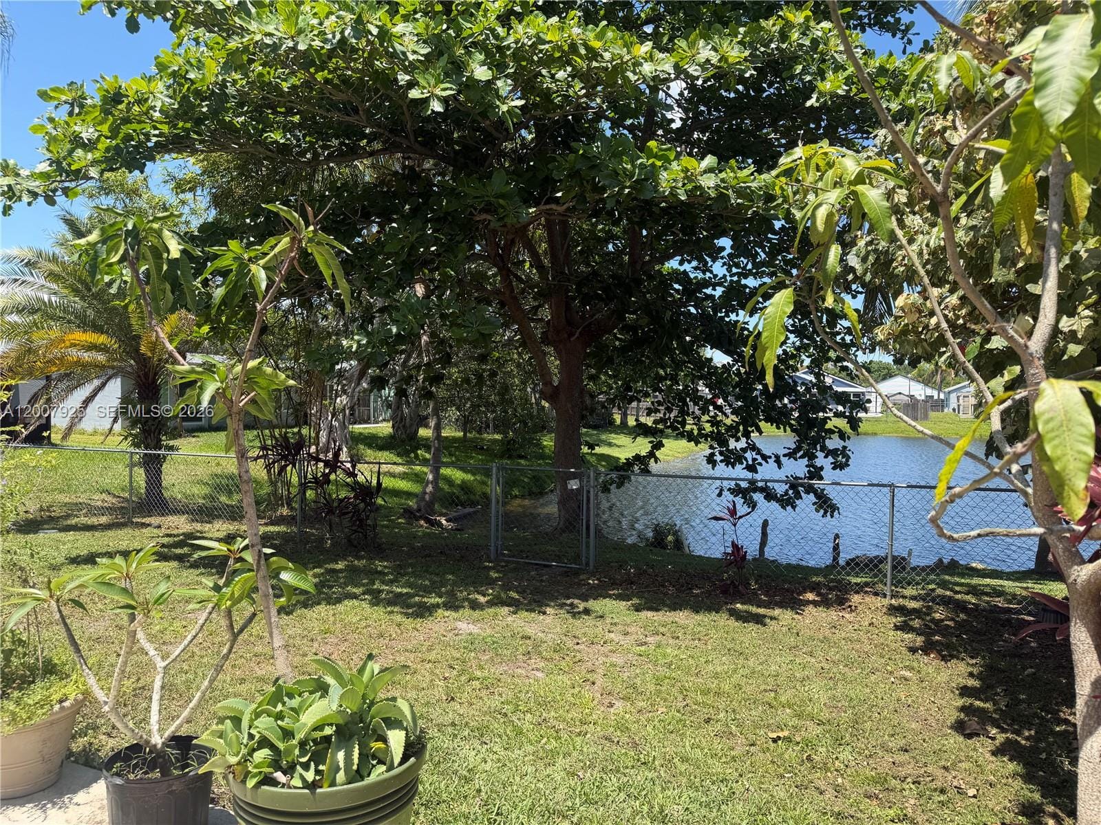 13541 SW 10th Place, Davie, FL 33325 photo 17
