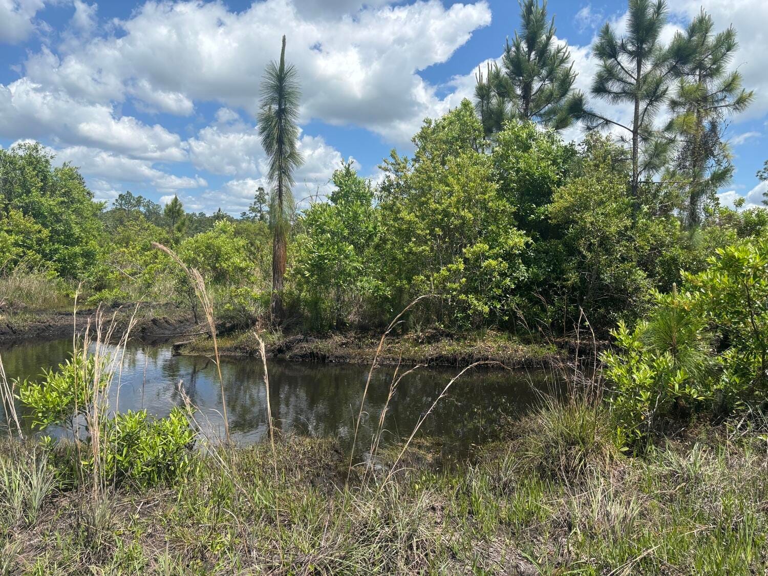 0 Holopaw Groves Road, St. Cloud, FL 34772 photo 2