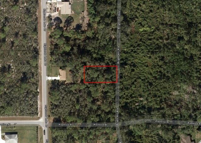536 Bright Hill Avenue, Lake Placid, FL 33852