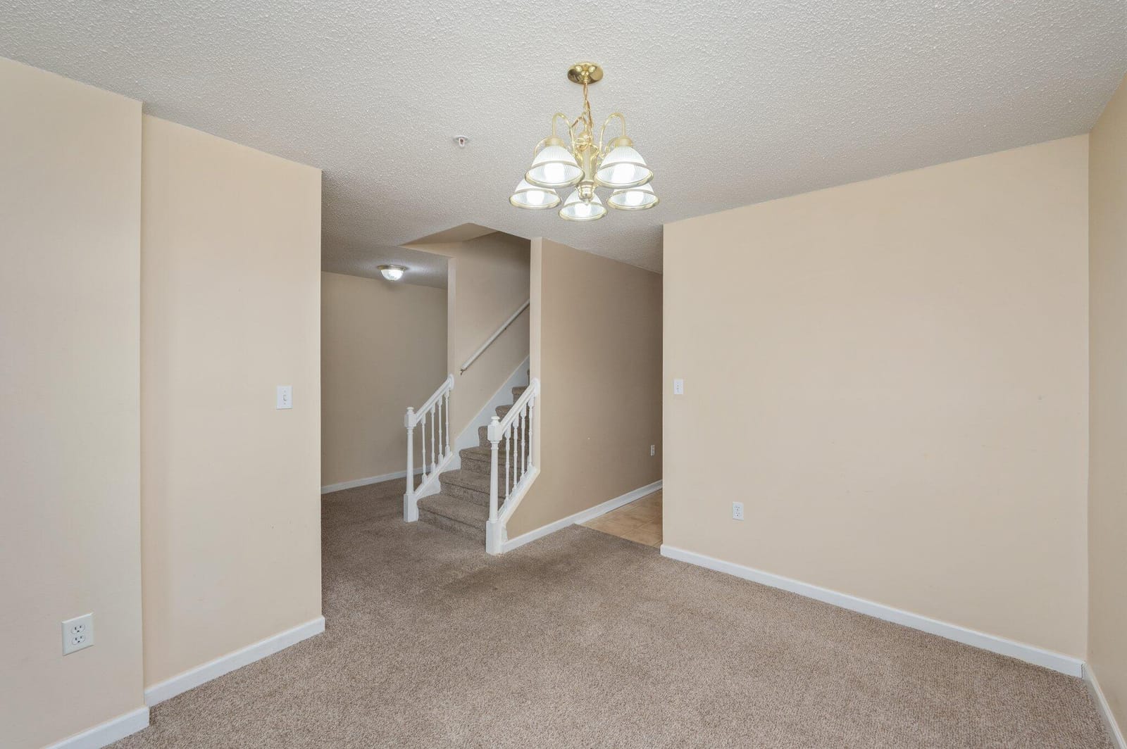307 Crooked Pine Trail — photo 8