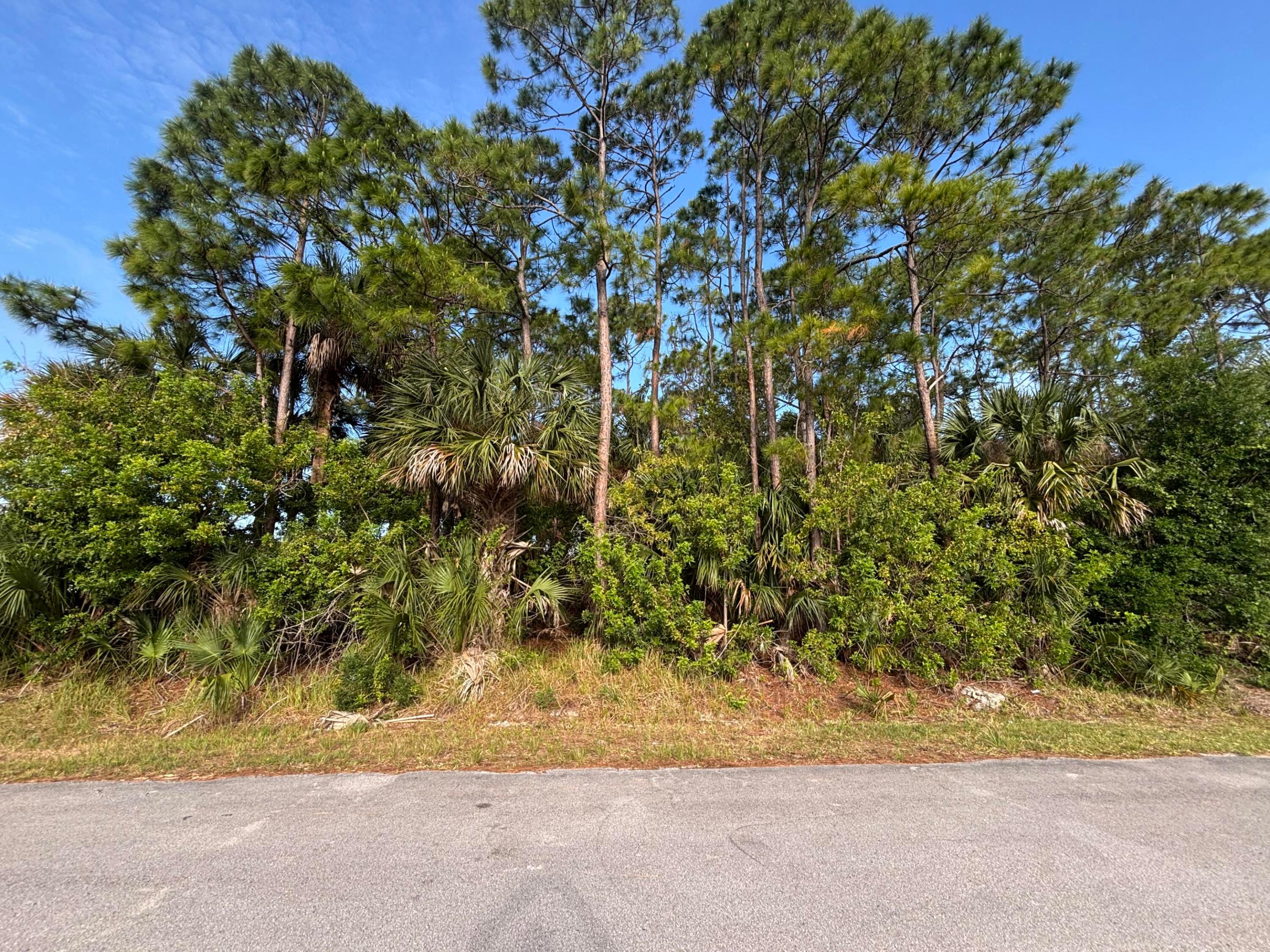 556 NE Burlington Ave Avenue NE, Palm Bay, FL 32907, Palm Bay