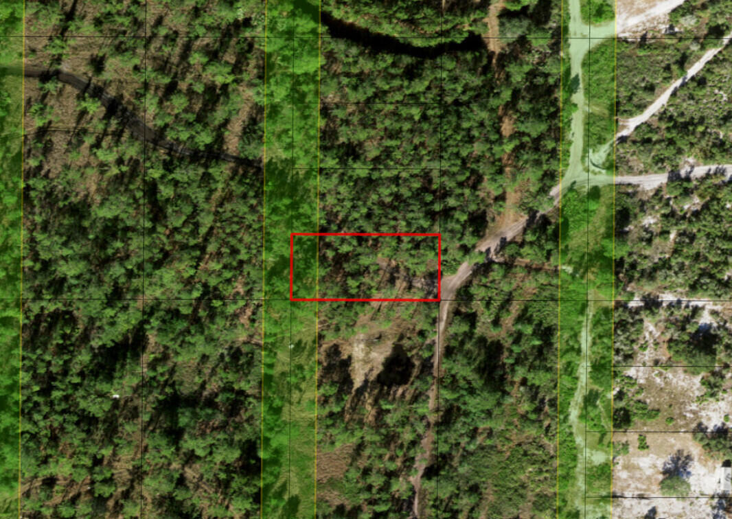 0 Holopaw Groves Road, St. Cloud, FL 34772, St Cloud