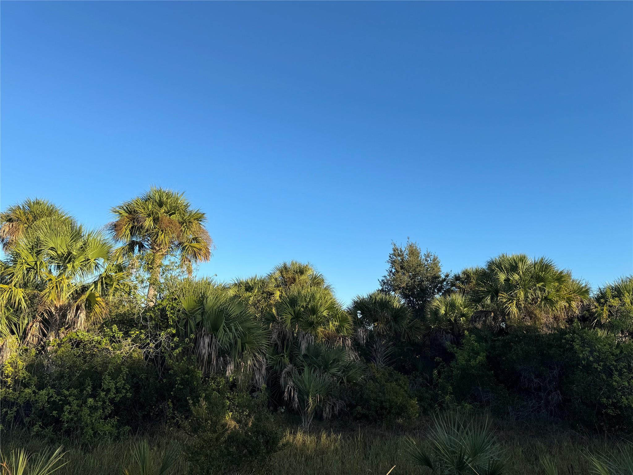 2025 Cabbage Lane, Okeechobee, FL 34974, Okeechobee