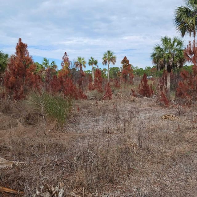 0 SW 153rd Terrace, FL 32625