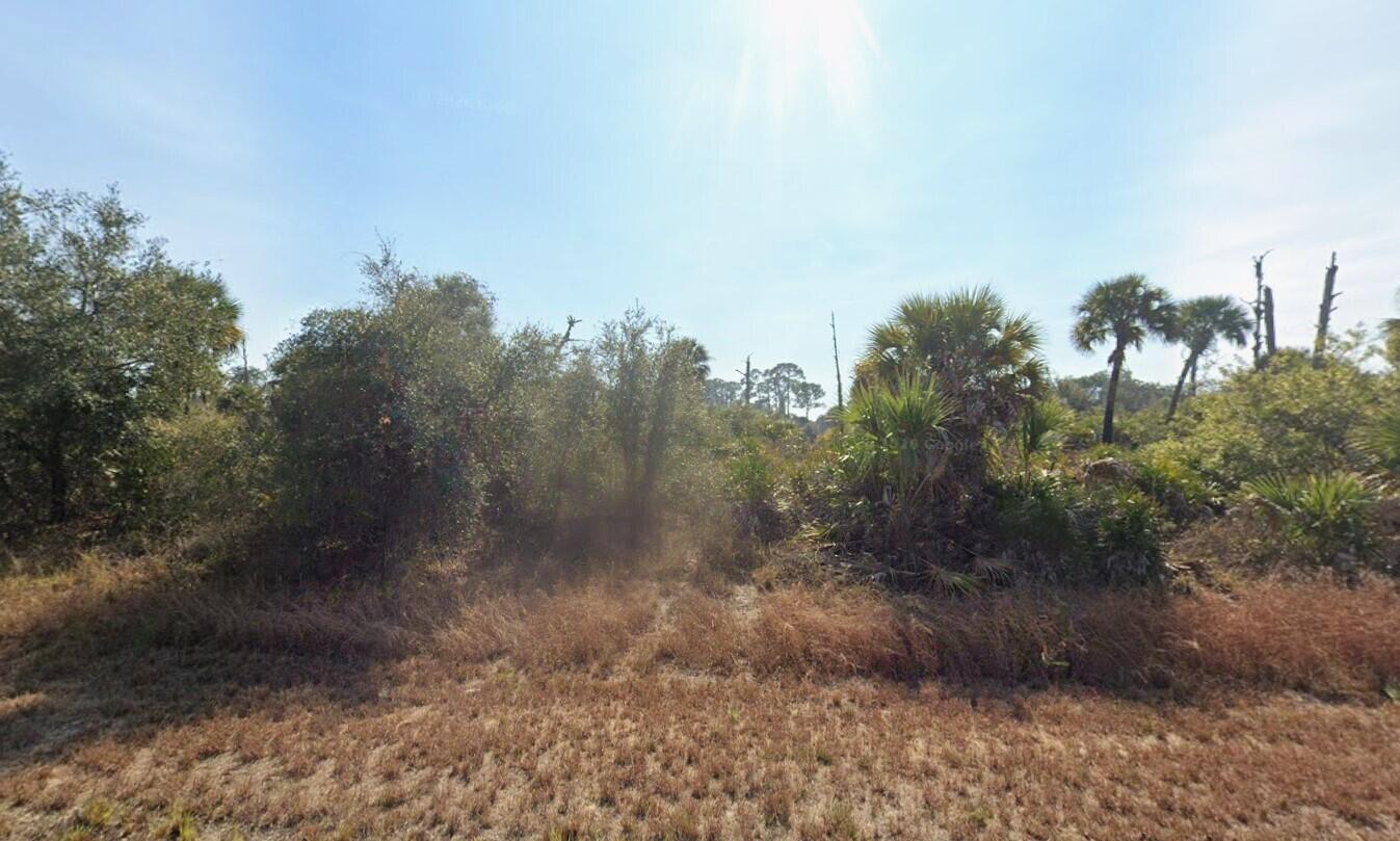 133 Apollo Avenue, Banyan Village, FL 33935, Labelle