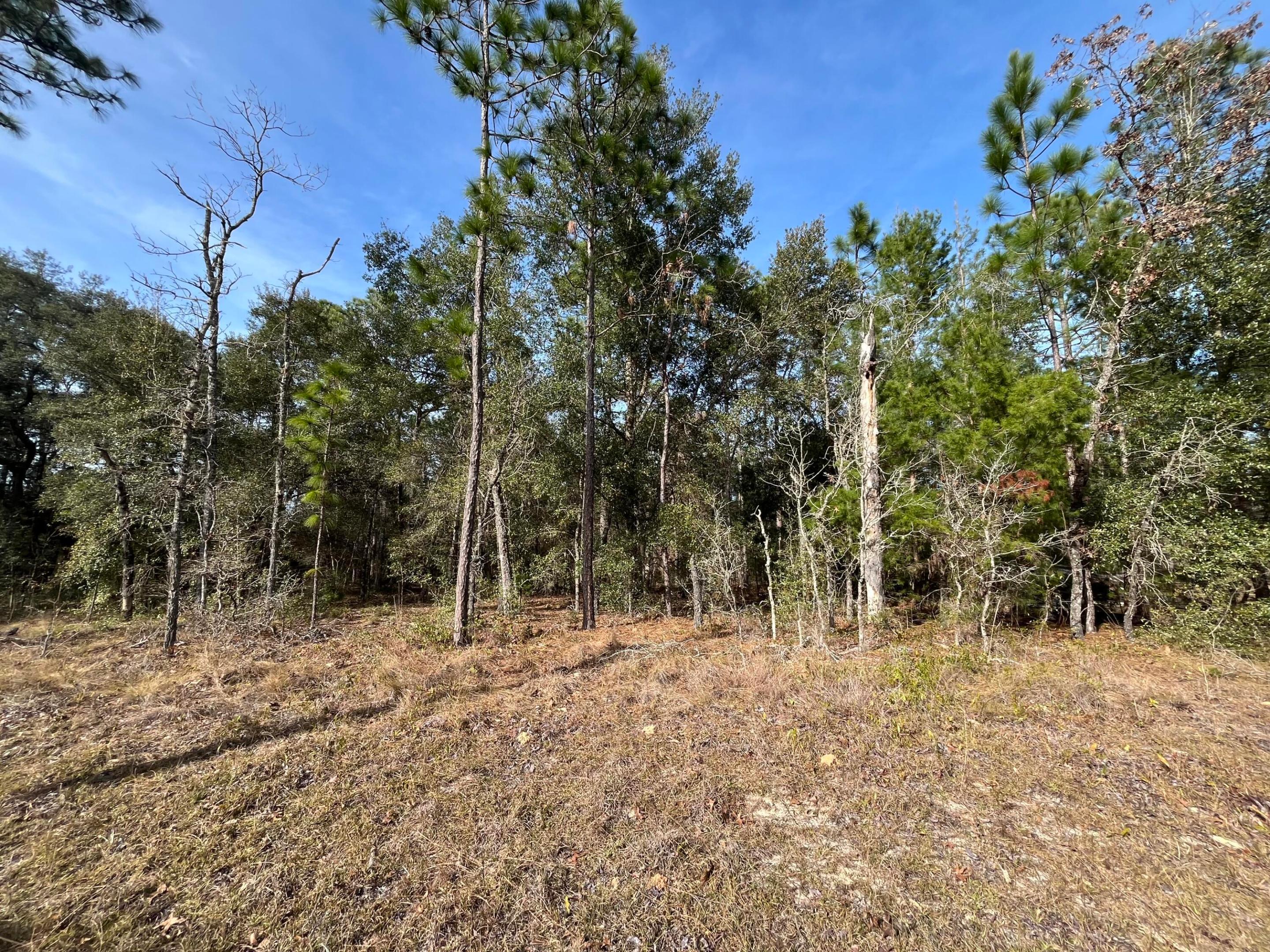 6168 Emory Avenue, Keystone Heights, FL 32656, Keystone Heights