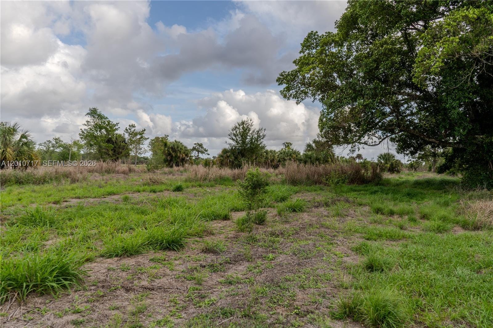 3921 Ft. Denaud Road, LaBelle, FL 33935 photo 3