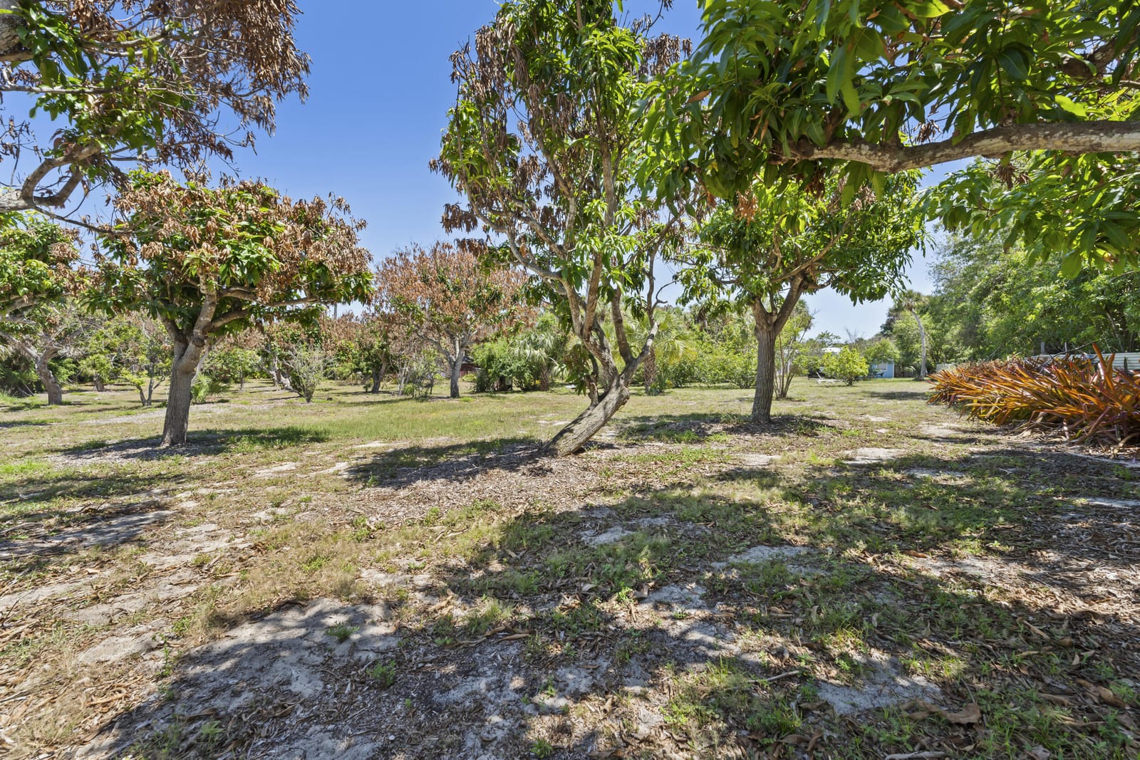 2614 NE Palm Avenue — photo 3