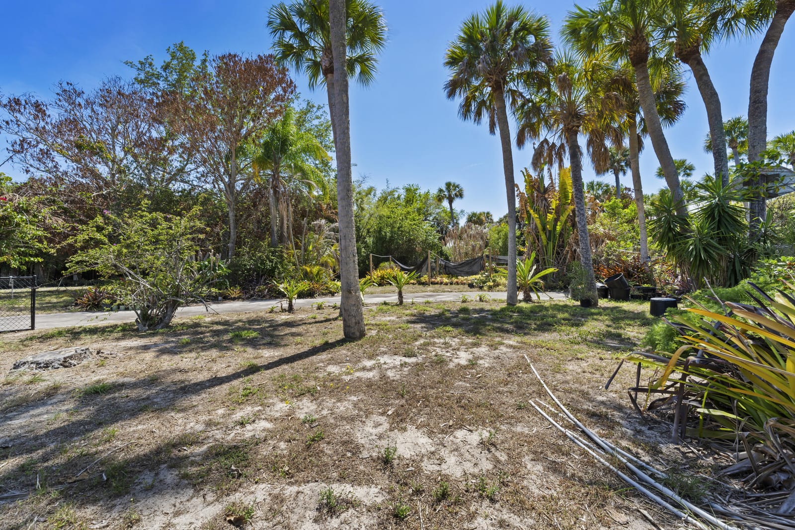 2614 NE Palm Avenue — photo 6