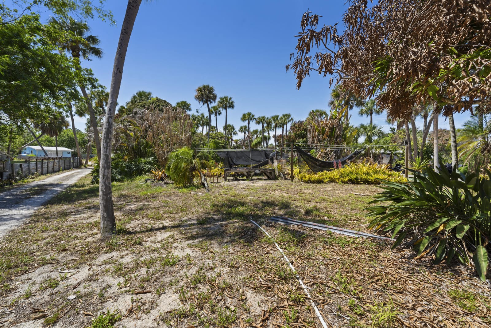 2614 NE Palm Avenue — photo 7