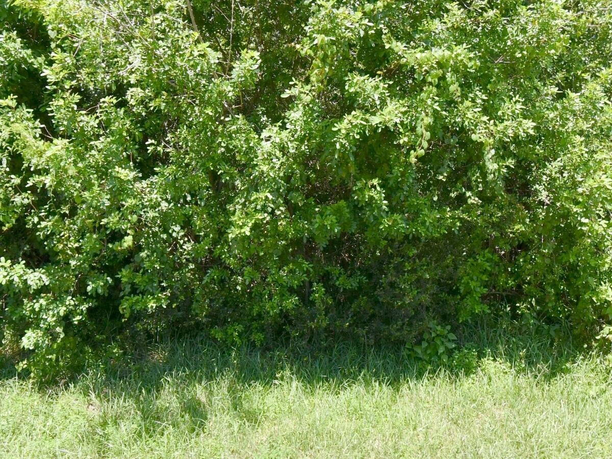 172 SW Gettysburg Drive, Port St. Lucie, FL 34953, Port St Lucie