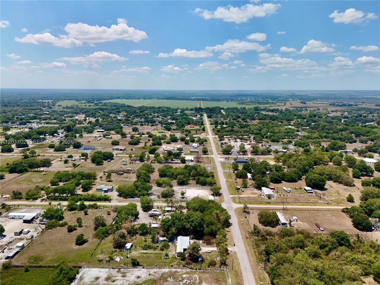 242 Bald Cypress Avenue — photo 4