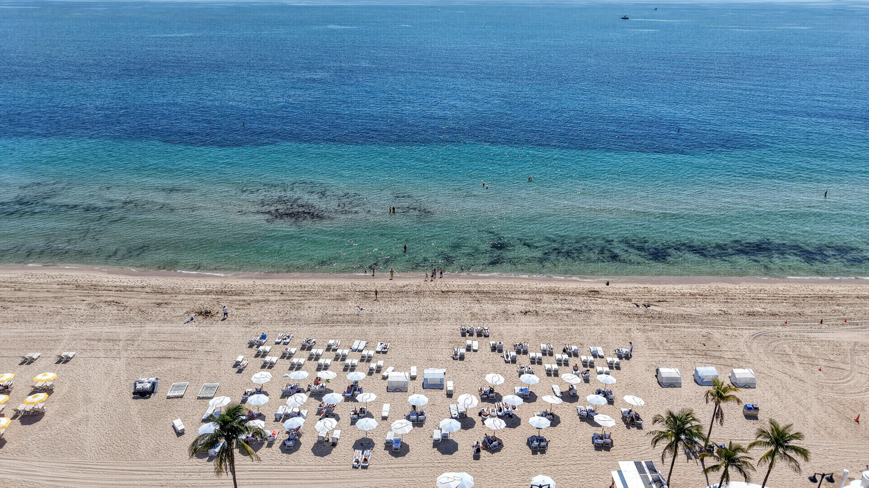 505 N Fort Lauderdale Beach Boulevard 605, Fort Lauderdale, FL 33304, Fort Lauderdale