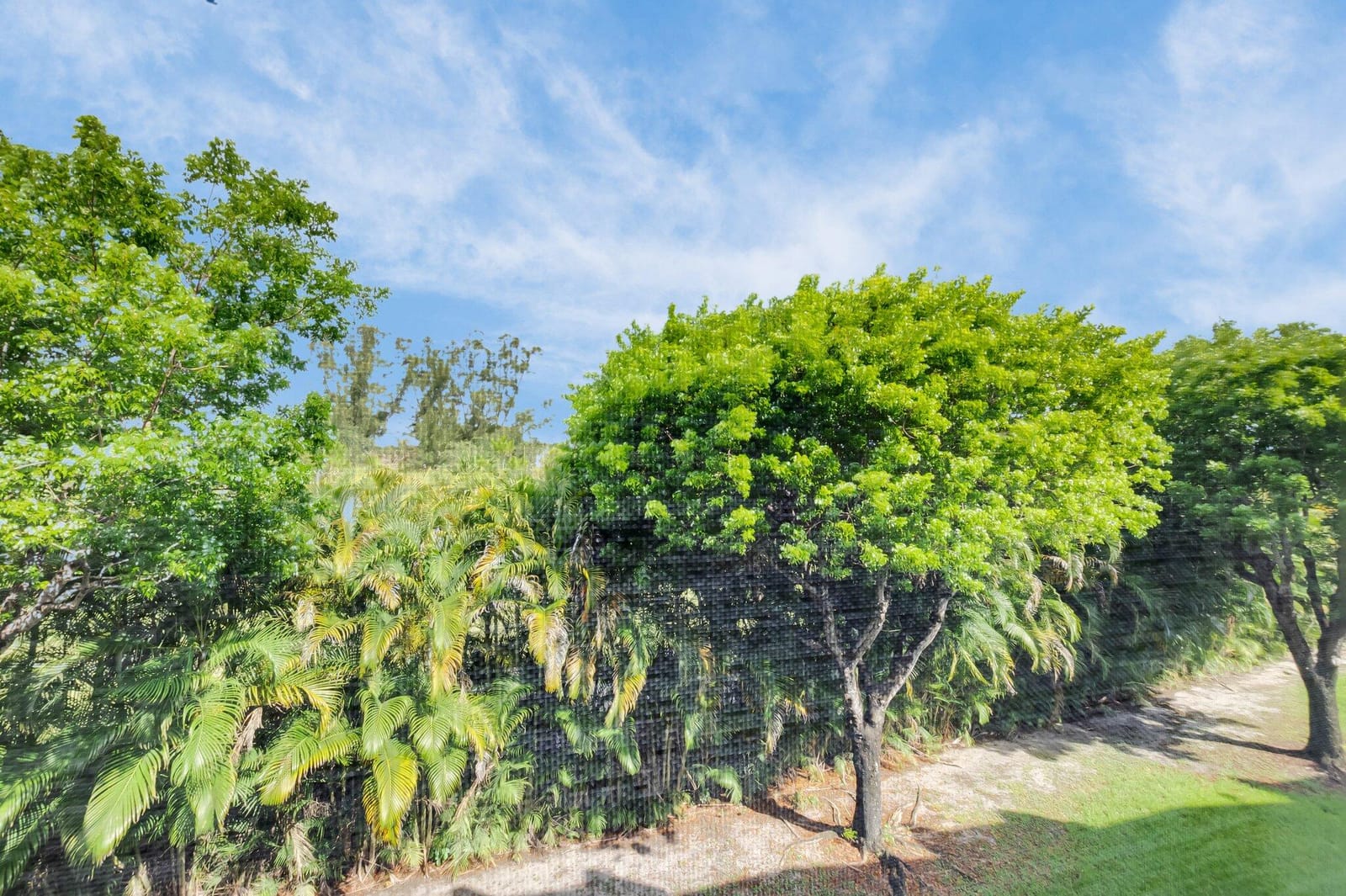 23247 N Barwood Ln Lane N 305, Boca Raton, FL 33428 photo 26