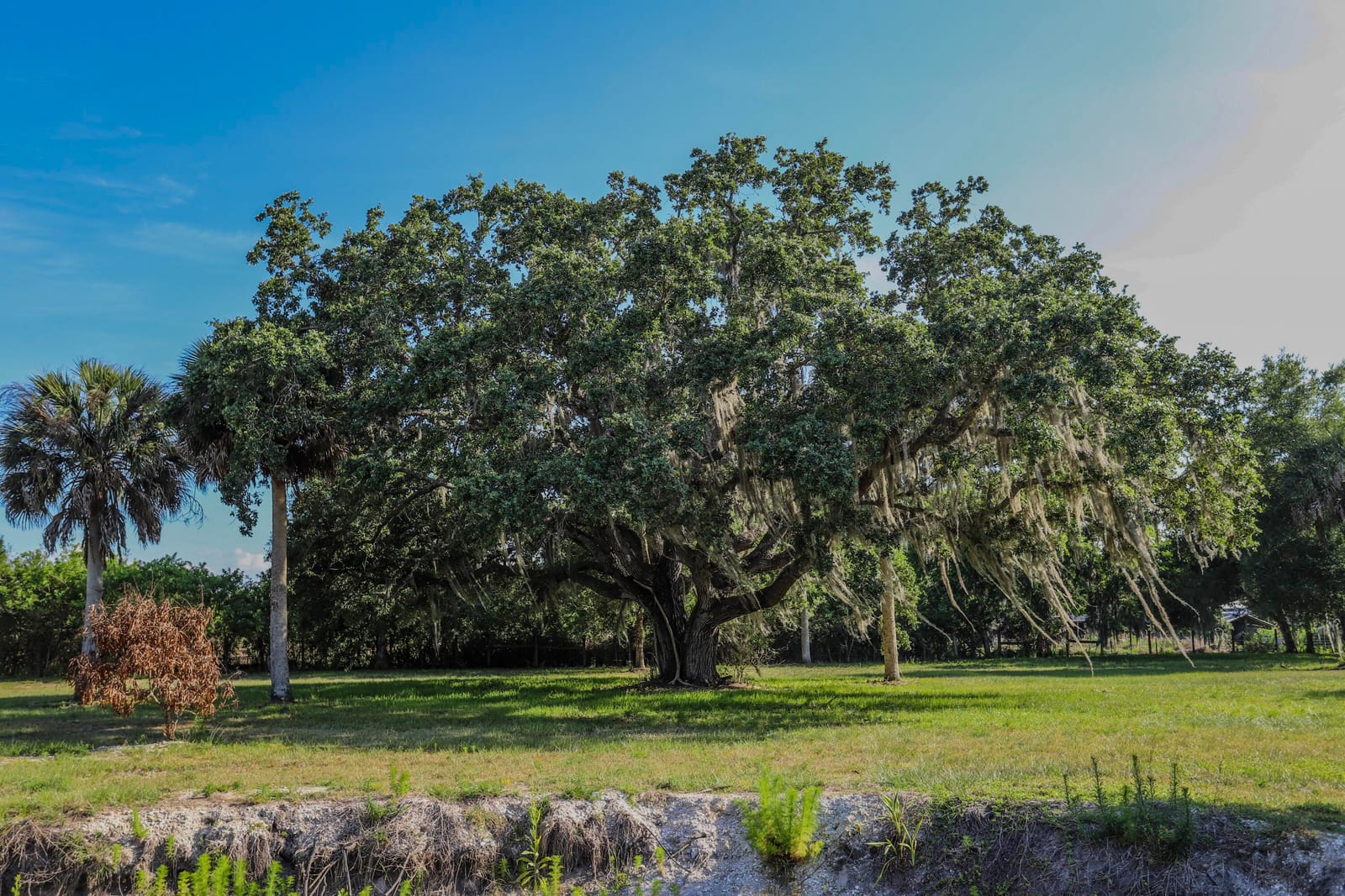 1100 Red Barn Rd N W, Moore Haven, FL 33471 photo 18