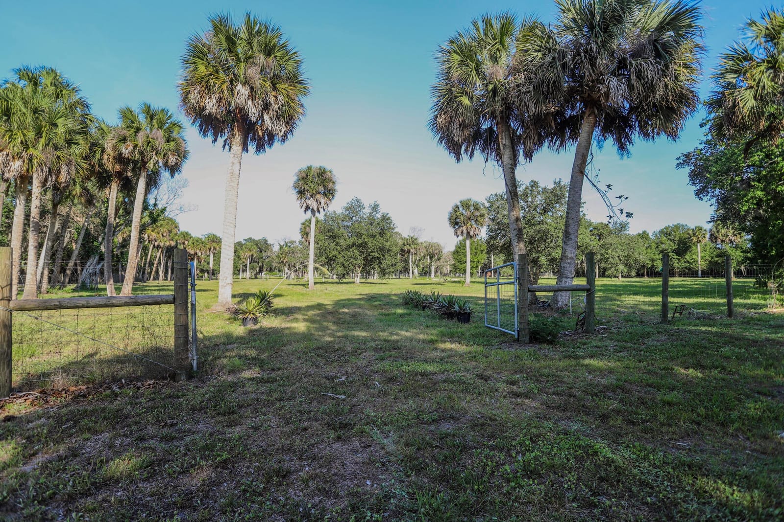 1100 Red Barn Rd N W, Moore Haven, FL 33471 photo 19