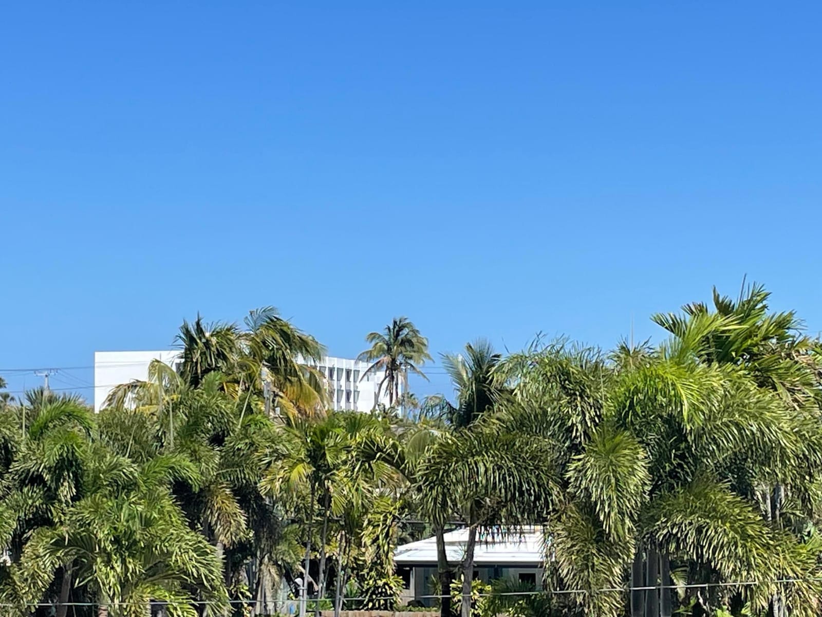 4629 Poinciana Street 317, Lauderdale-By-The-Sea, FL 33308 photo 8