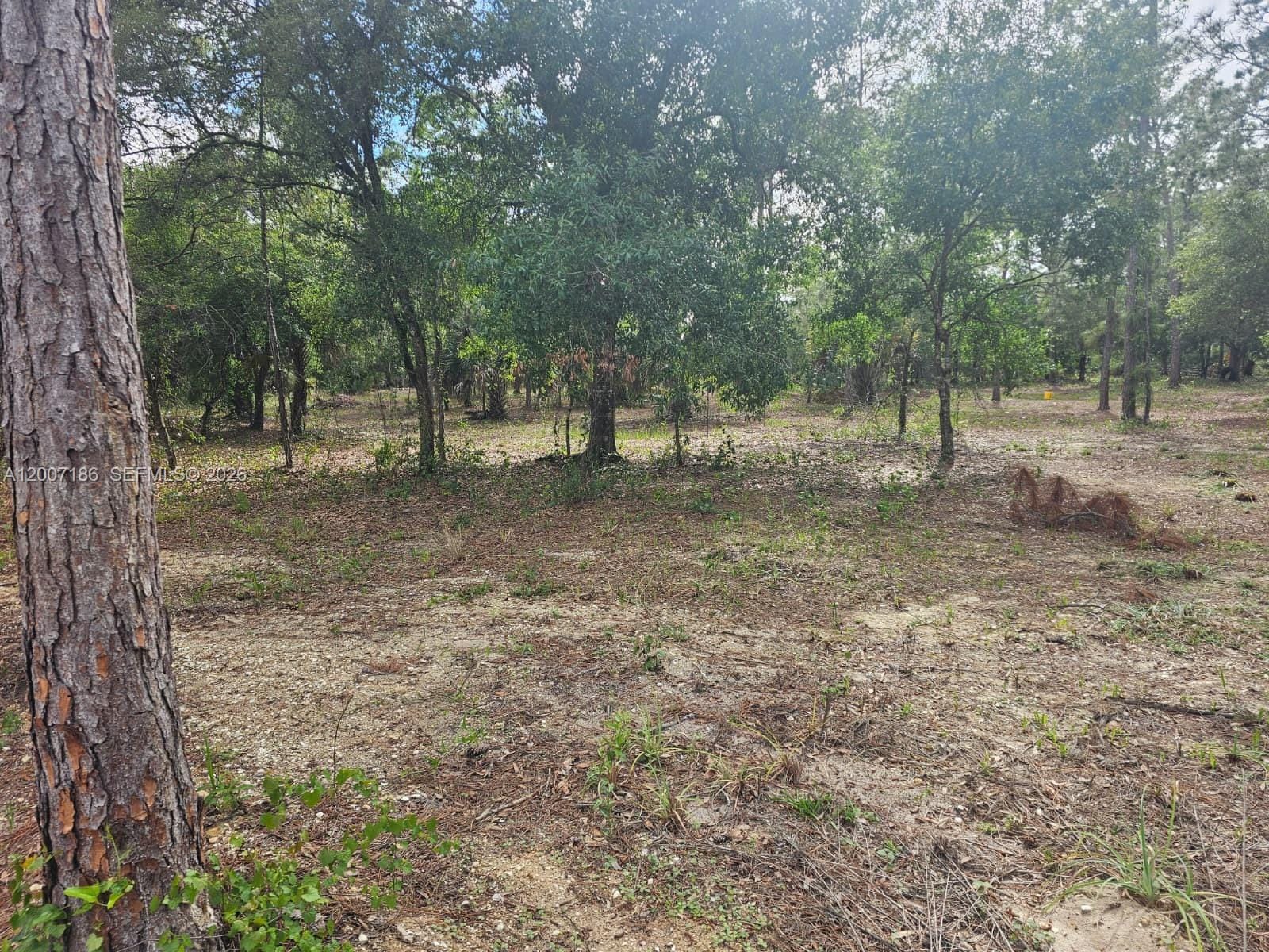 820 & 830 S Jasmine Street, Clewiston, FL 33440 photo 15