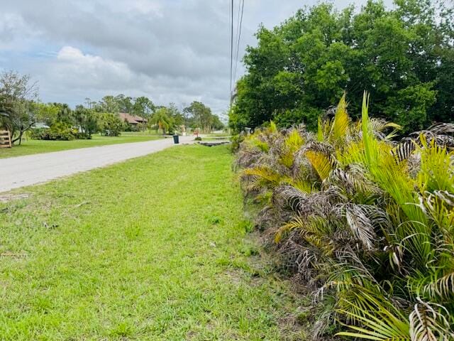 12836 78th Place N — photo 5