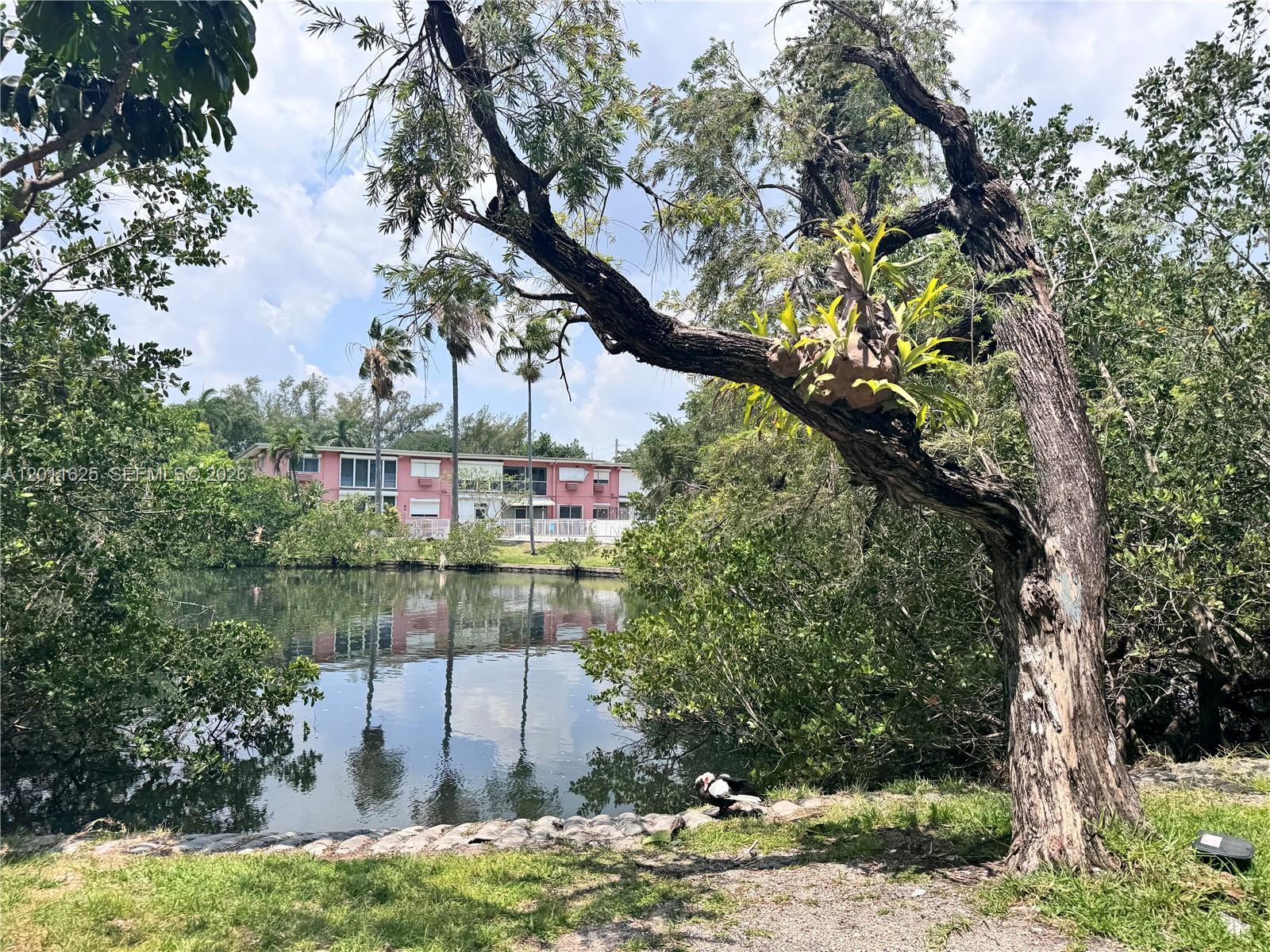 12590 NE 16th Avenue 209, North Miami, FL 33161, North Miami