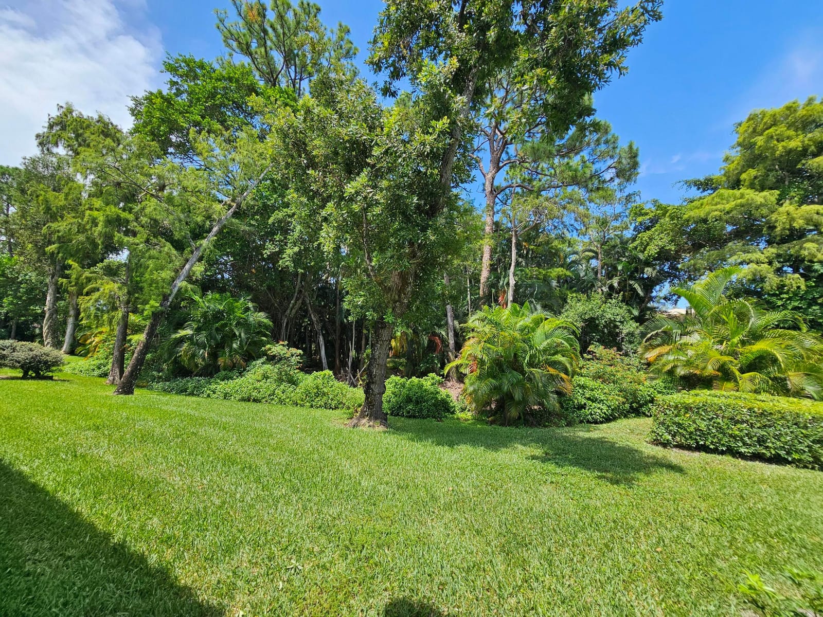 21864 Arriba Real 3d, Boca Raton, FL 33433 photo 17