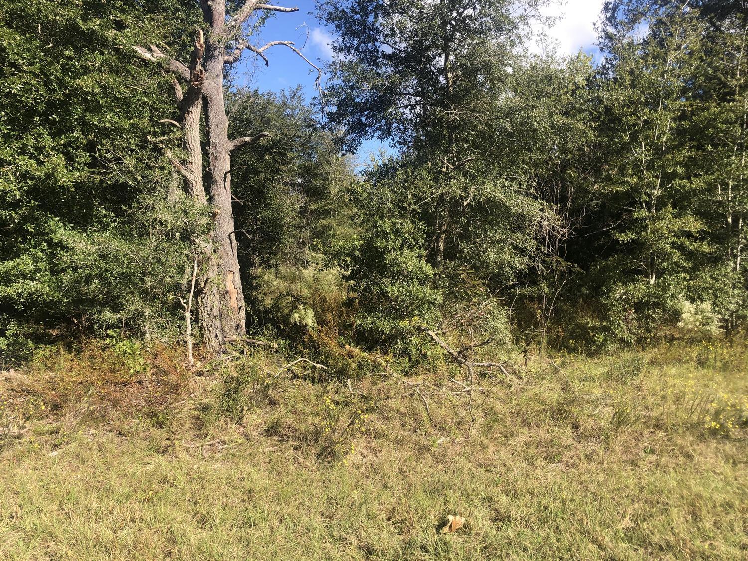 0 Dawn Avenue, Interlachen, FL 32148, Interlachen