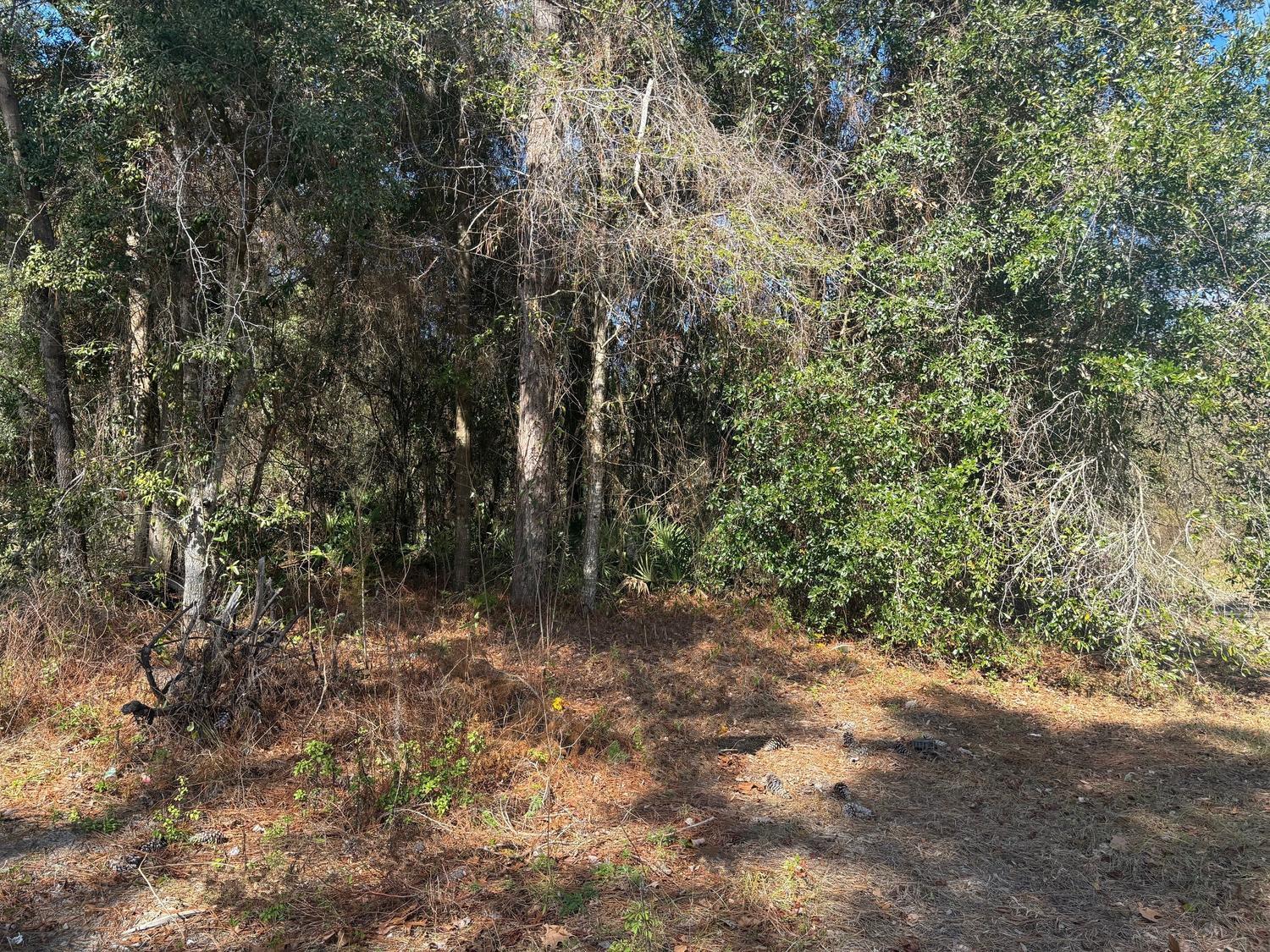 7178 W Wildfire Lane, Homosassa, FL 34448, Homosassa