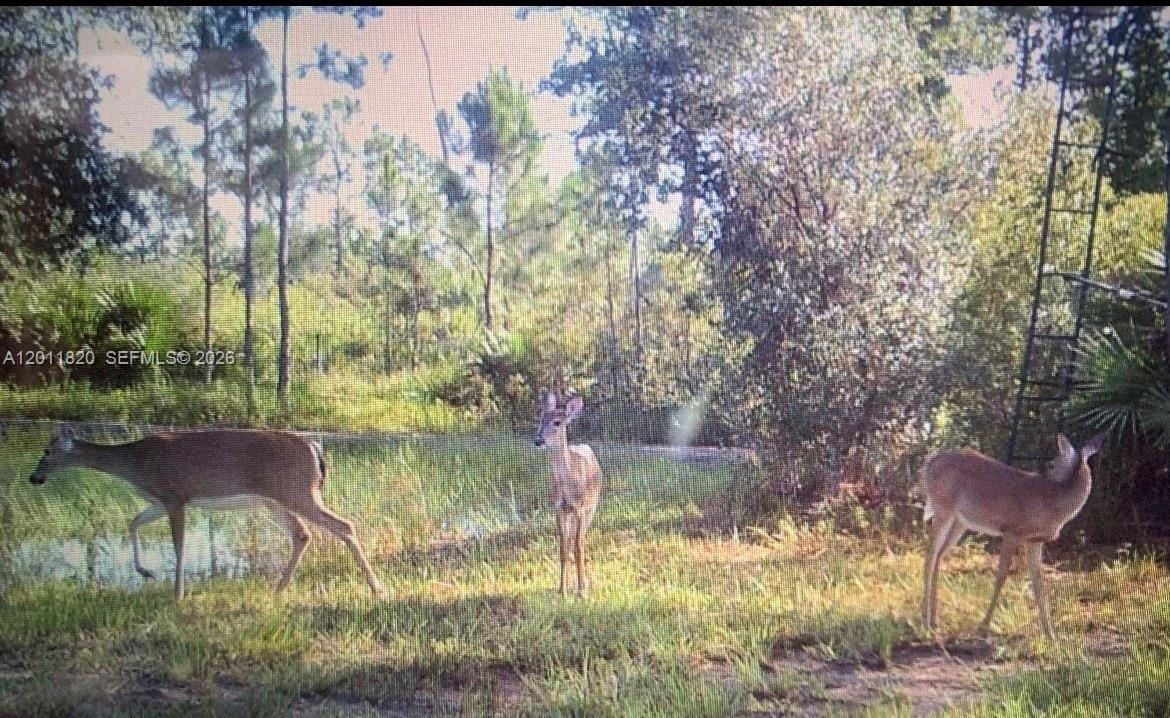 1000 NE 365 Lane, Okeechobee, FL 34972 photo 26
