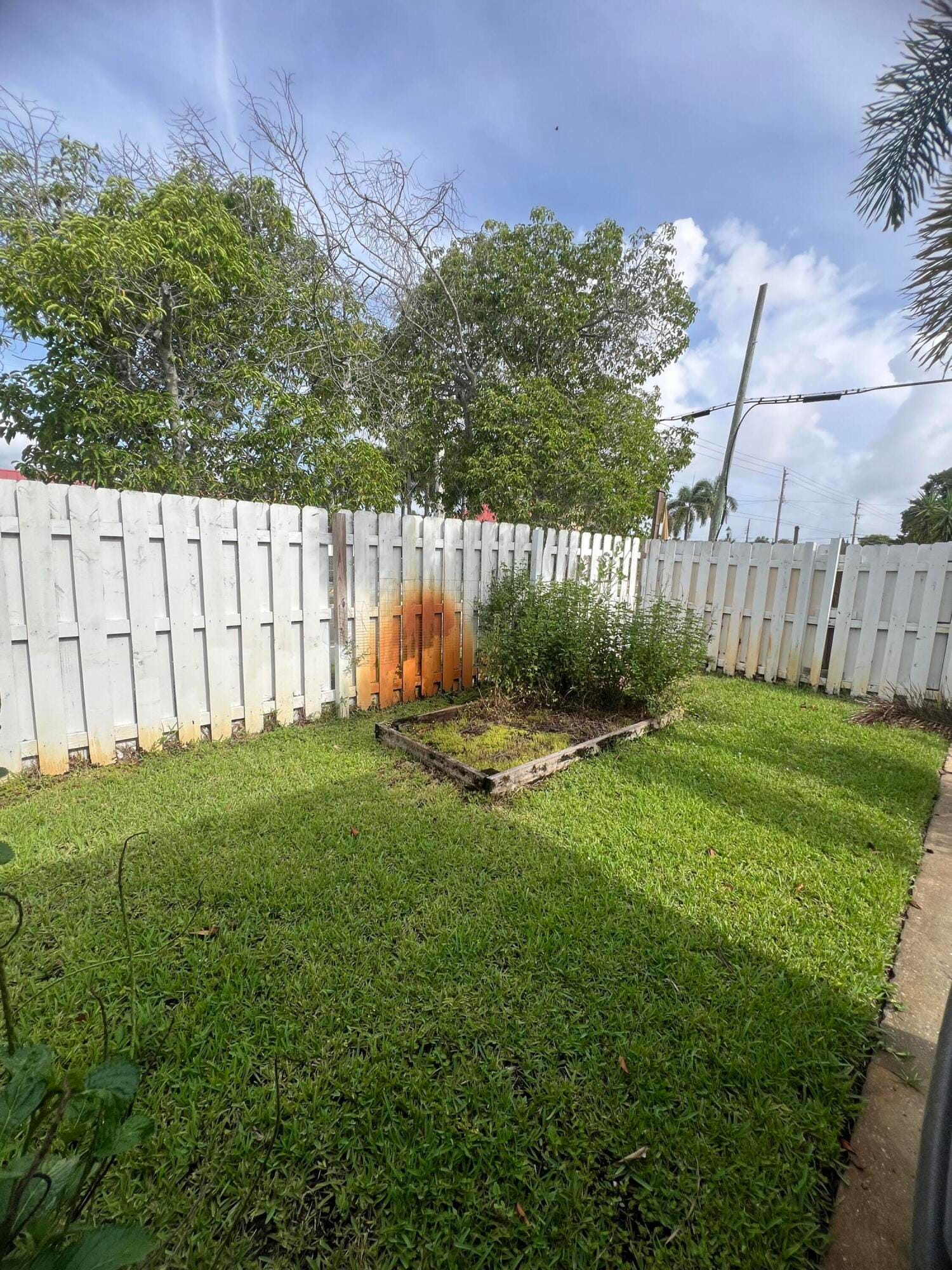 733 Green Street — photo 11