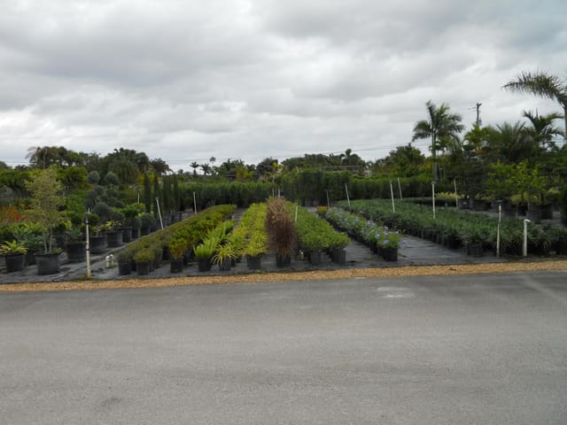 0000 Boynton Beach Blvd, Boynton Beach, FL