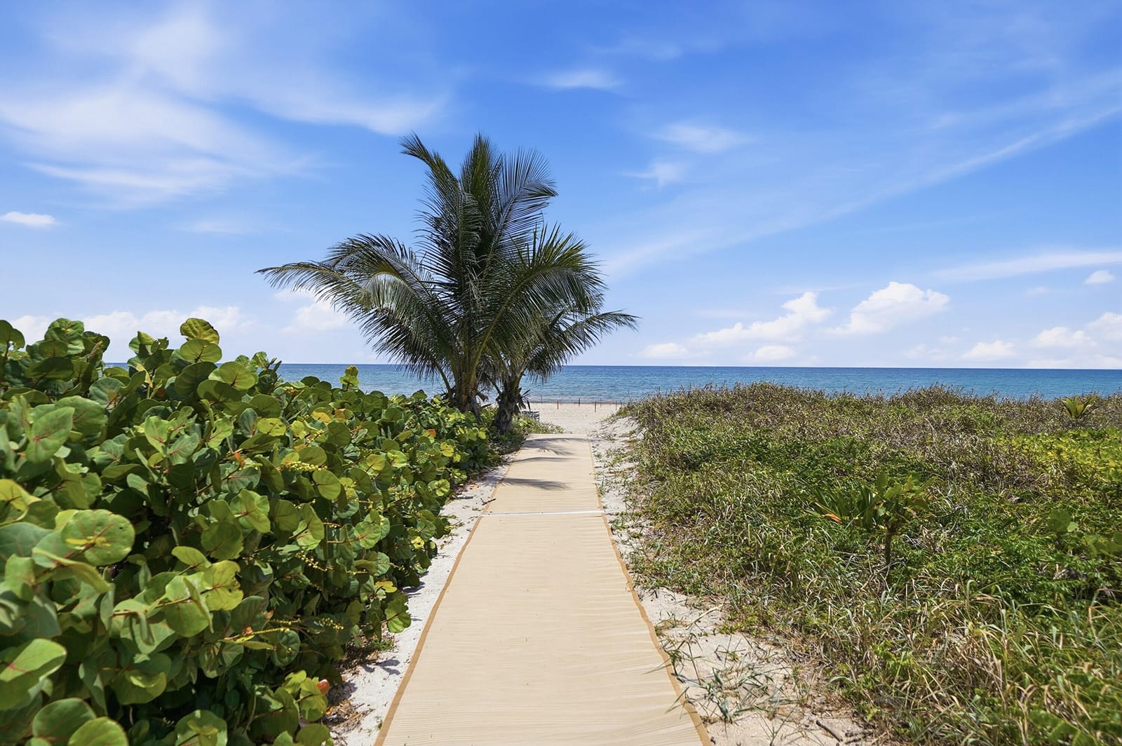 700 S Ocean Boulevard 803, Boca Raton, FL 33432 photo 28