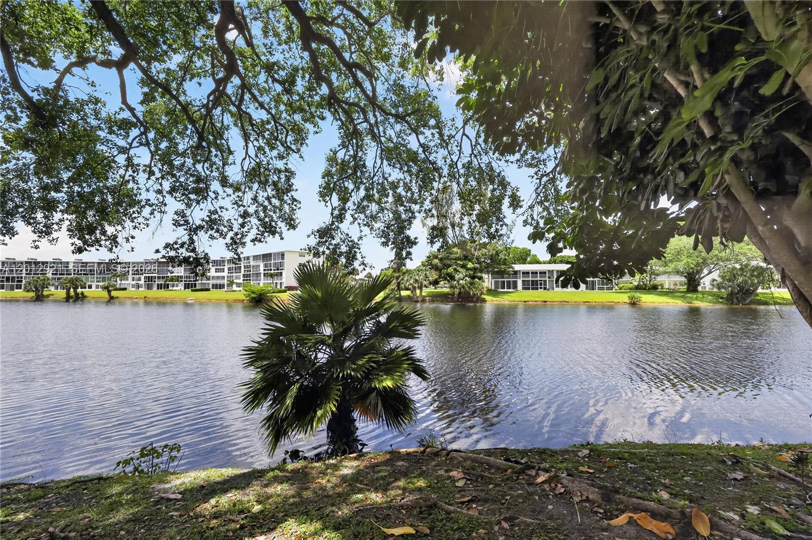 3023 Cambridge B 3023, Deerfield Beach, FL 33442 photo 17