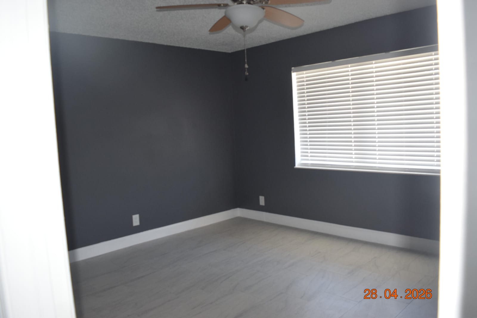3166 Melaleuca Road — photo 12