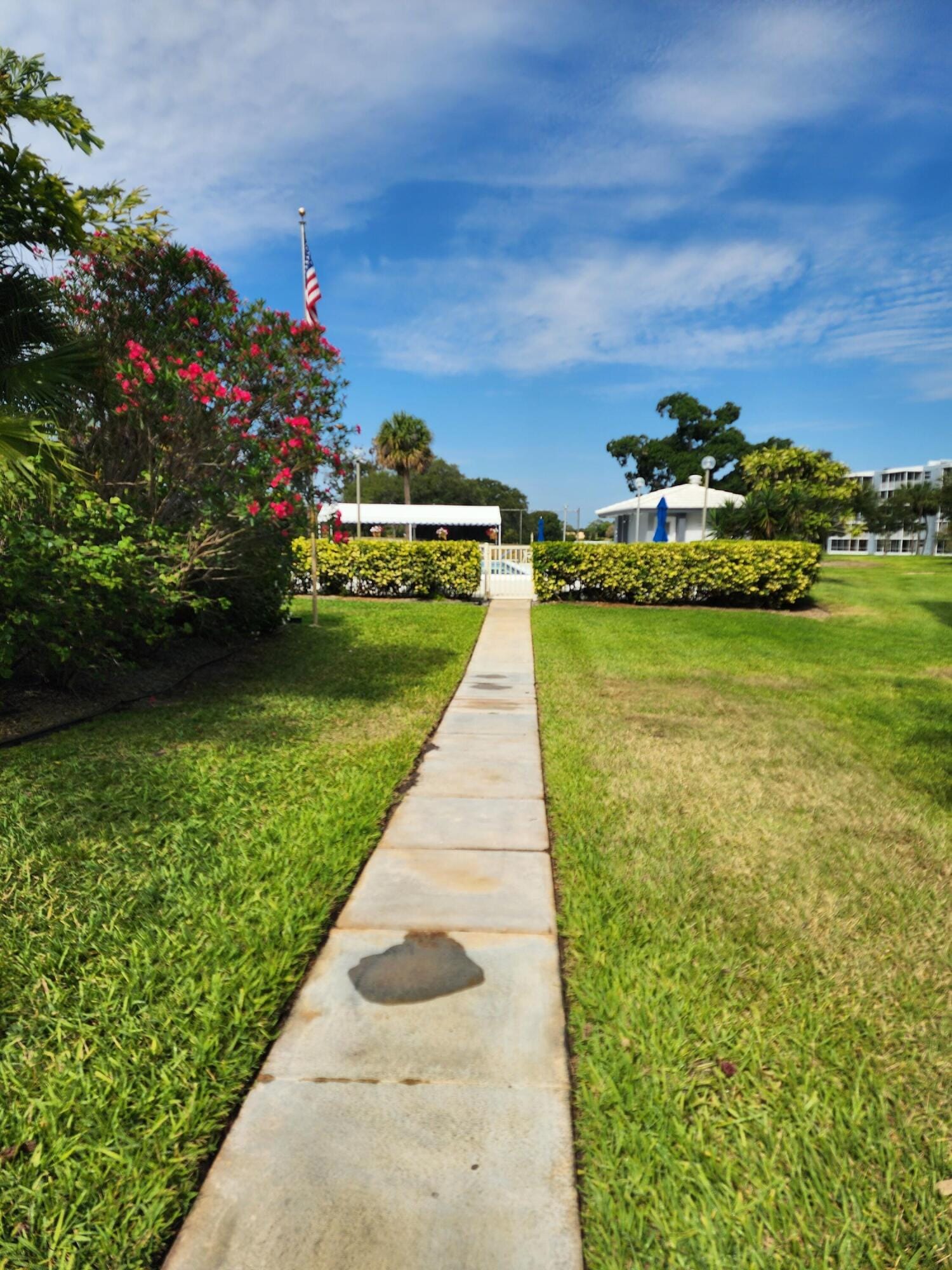 6699 NW 2nd Avenue 216, Boca Raton, FL 33487 photo 23