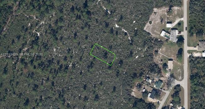 1425 Doolittle Street, Lake Placid, FL 33852, Lake Placid