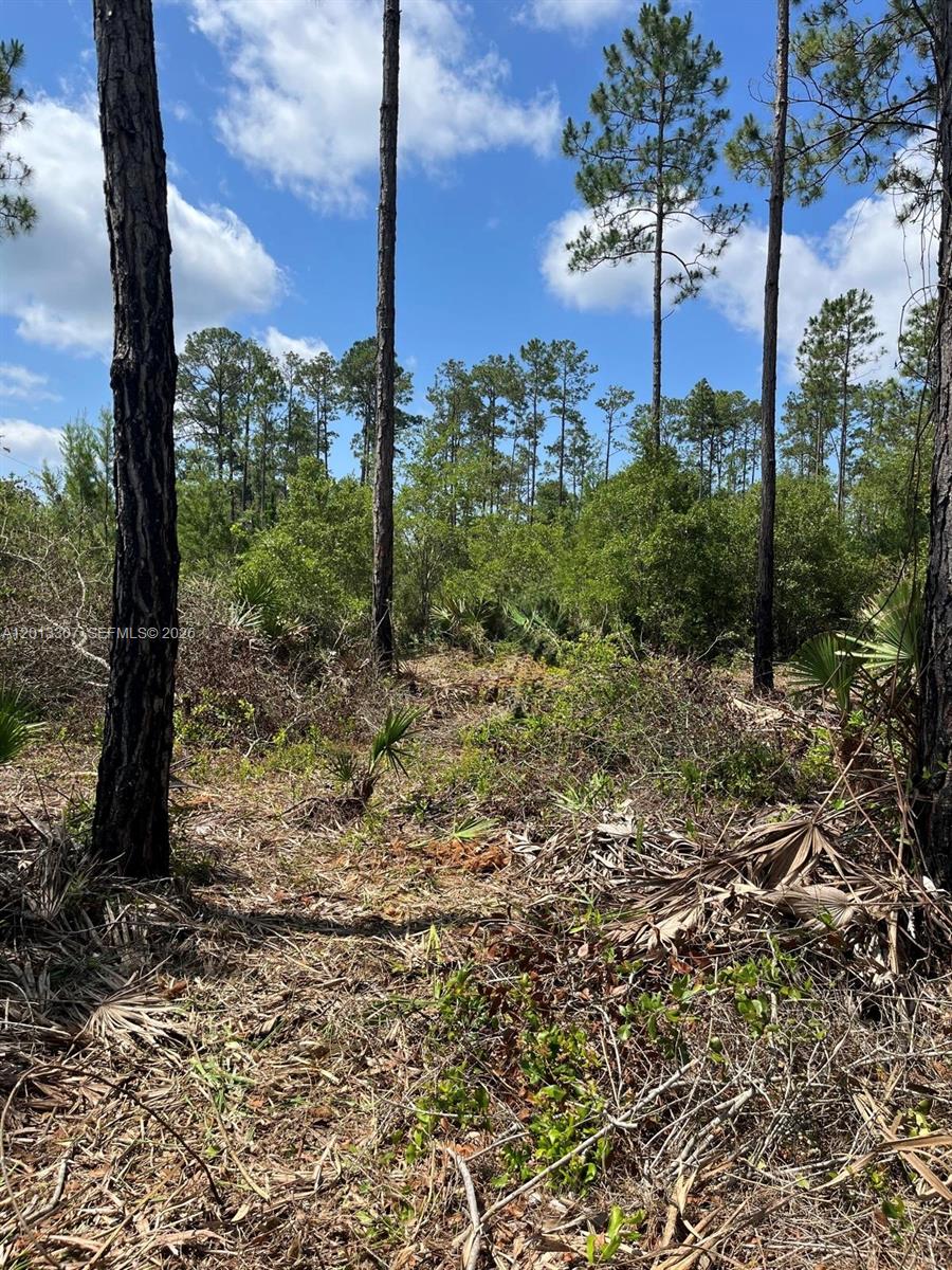 117 Lodge Pole Circle, FL 32139, Georgetown