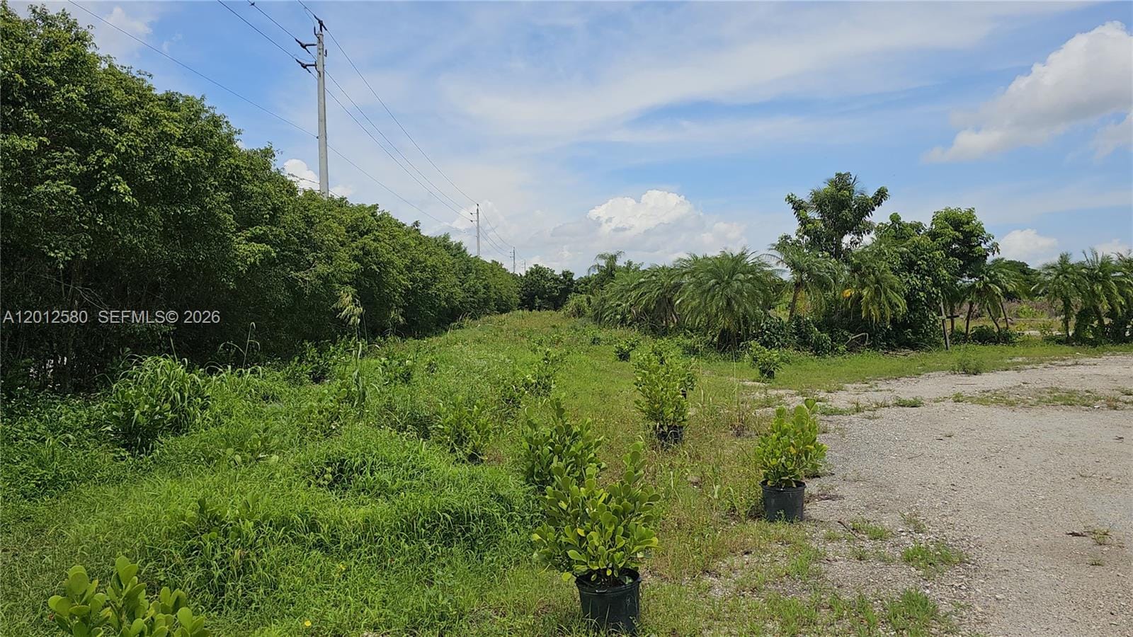 5800 SW 210th Terrace, Southwest Ranches, FL 33332 photo 3