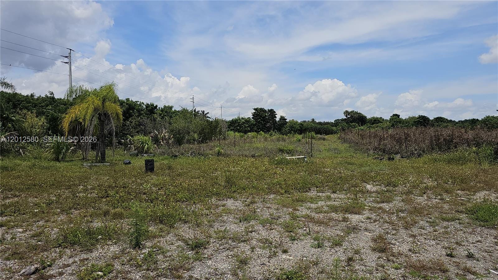 5800 SW 210th Terrace, Southwest Ranches, FL 33332 photo 4