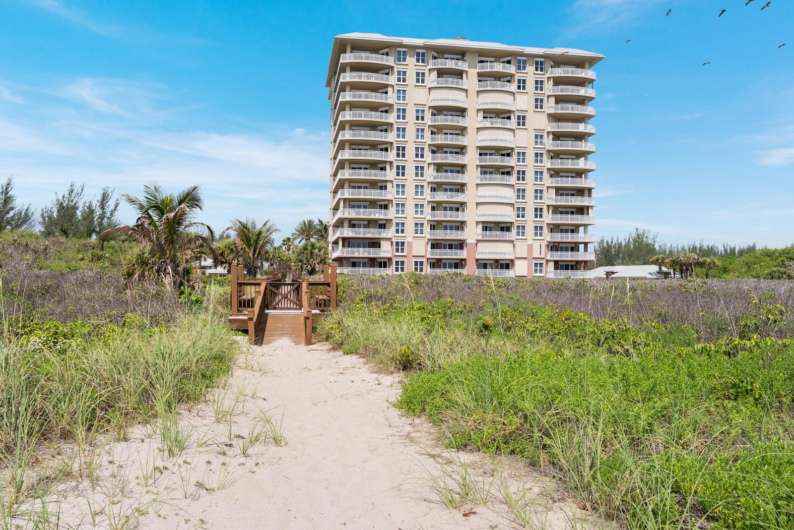 3702 N Hwy A1a 801 — photo 5