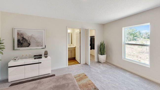 8175 W 98th Avenue — photo 5