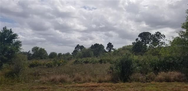 17442 NW 300th Street, Okeechobee, FL 34972
