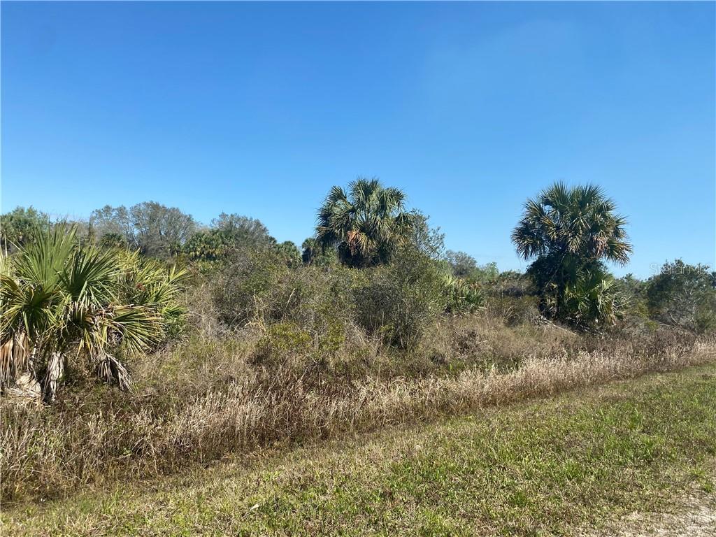 19580 NW 268th Street, Okeechobee, FL 34972, Okeechobee