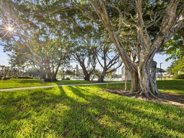3289 S Carambola Circle S 23145, Coconut Creek, FL 33066 photo 18