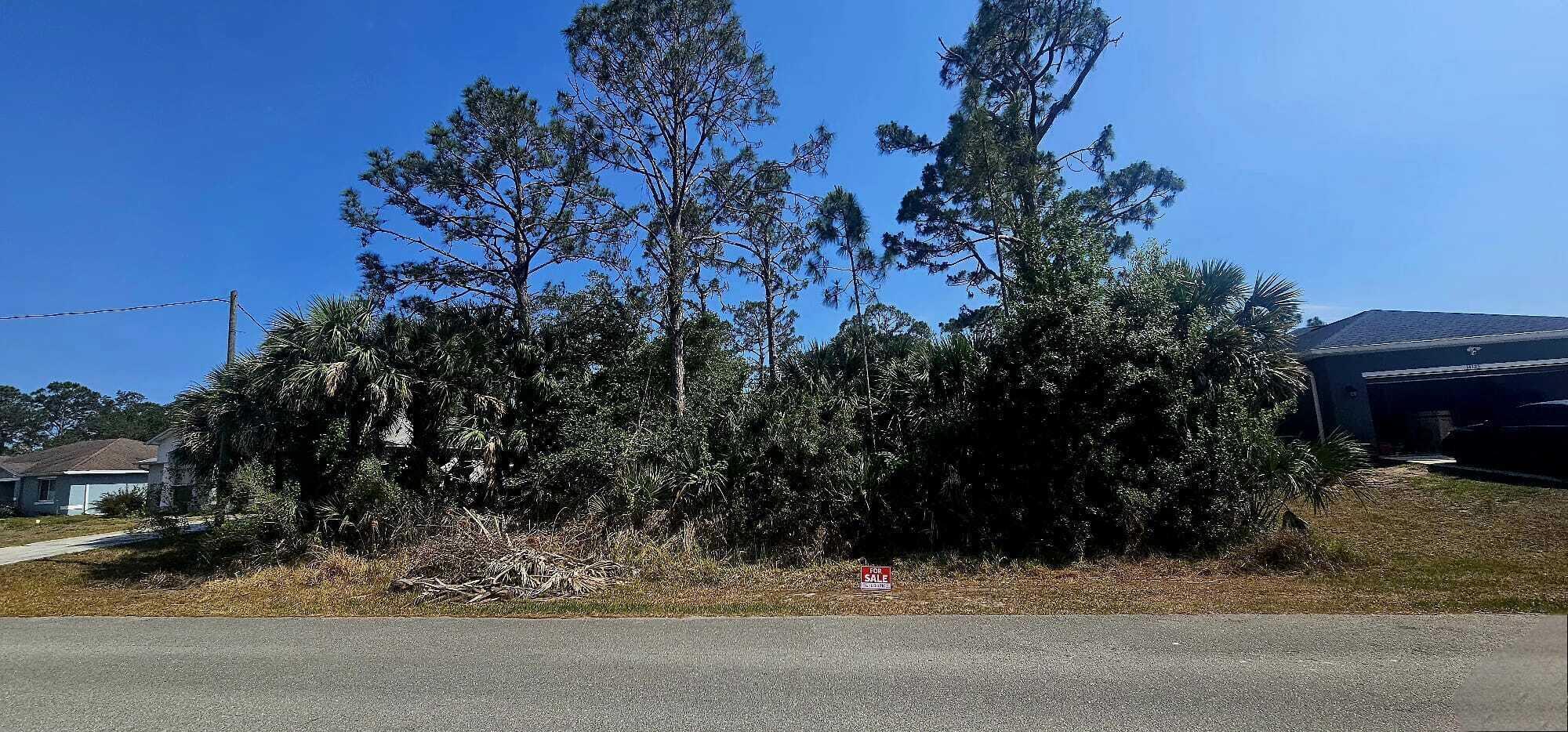 14133 Cain Avenue, Port Charlotte, FL 33953, Port Charlotte
