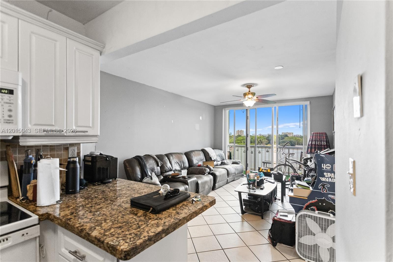 3551 SW 9th Terrace 502, Miami, FL 33135 photo 13