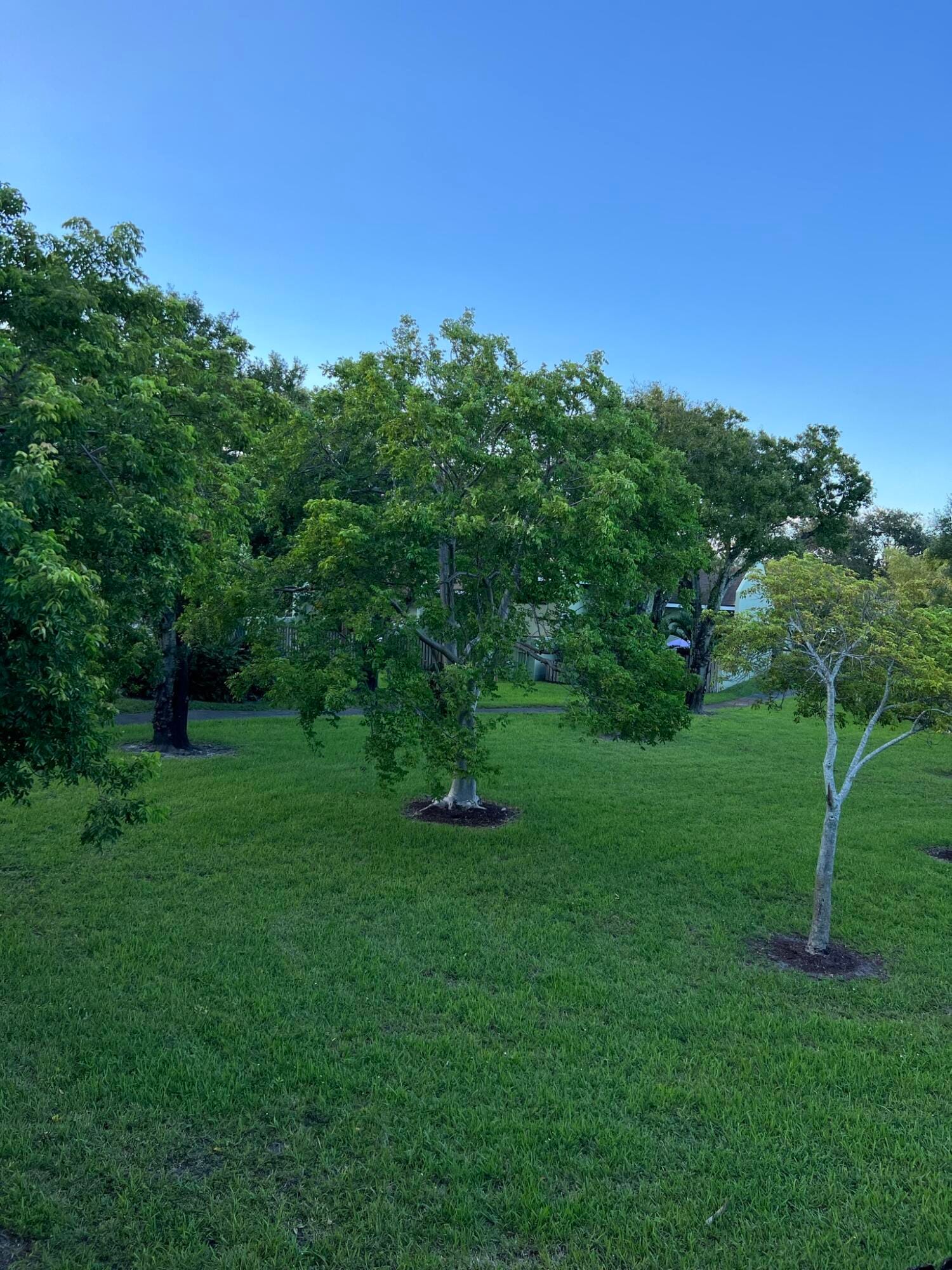 2800 S Oakland Forest Drive 2302, Oakland Park, FL 33309 photo 23